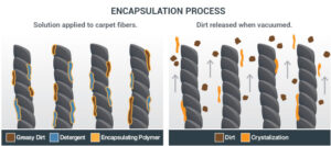 Encapsulation-carpet-cleaning-process