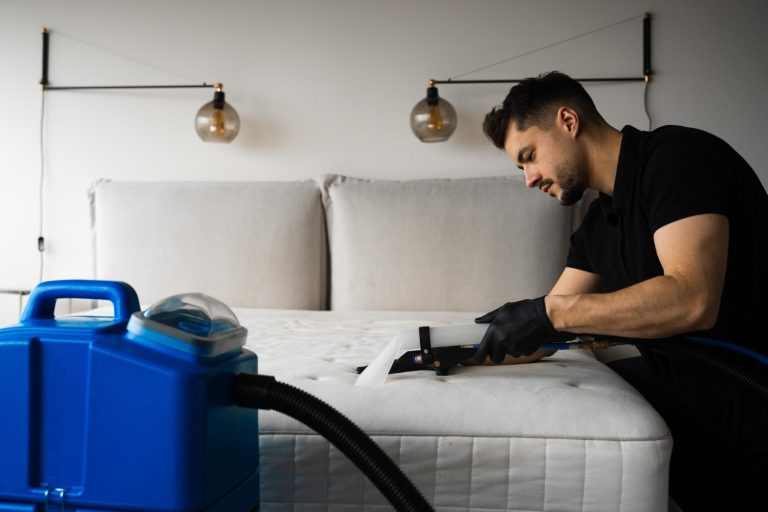 Dust mite extraction with hepa filtration