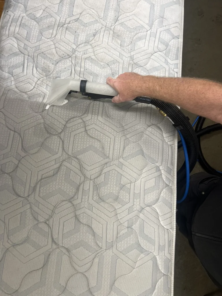 A close-up of a professional extraction tool cleaning a patterned mattress